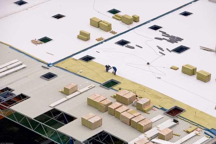 Odoo • Text and Image